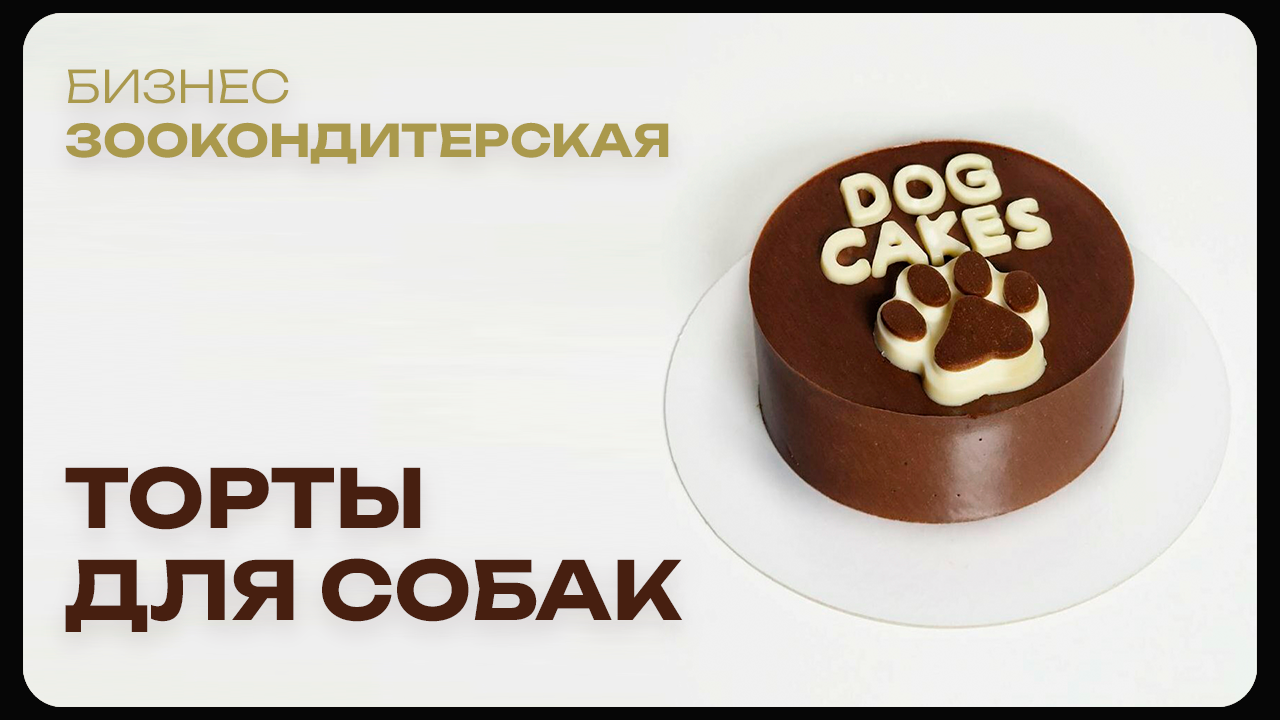 Торты для собак | Как работает зоокондитерская: от рецептов до прибыли | Интервью Dog Cakes